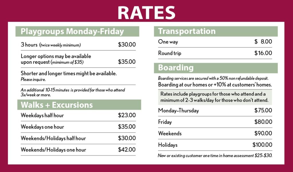 Healthy Hounds Doggie Daycare Rates - March 2024